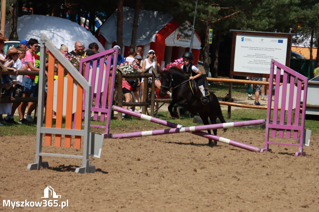 Fotorelacja V: Sprawnościowy Konkurs Jeździecki - Festiwal z Kopyta w Gniazdowie