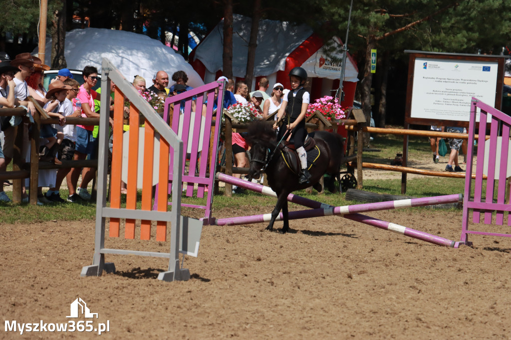 Fotorelacja V: Sprawnościowy Konkurs Jeździecki - Festiwal z Kopyta w Gniazdowie