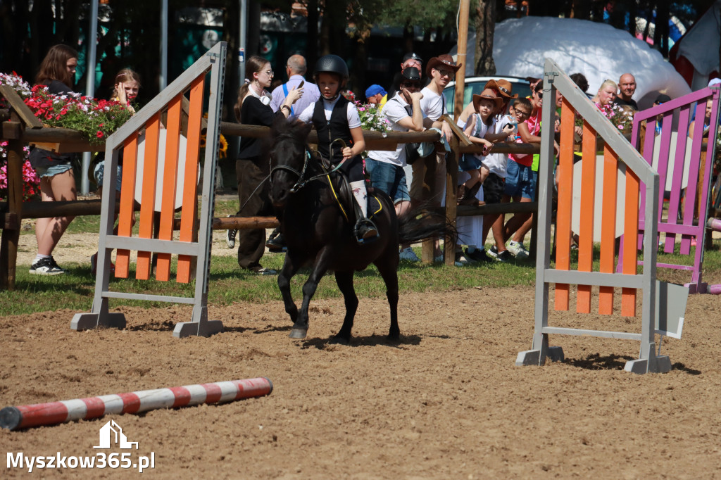 Fotorelacja V: Sprawnościowy Konkurs Jeździecki - Festiwal z Kopyta w Gniazdowie