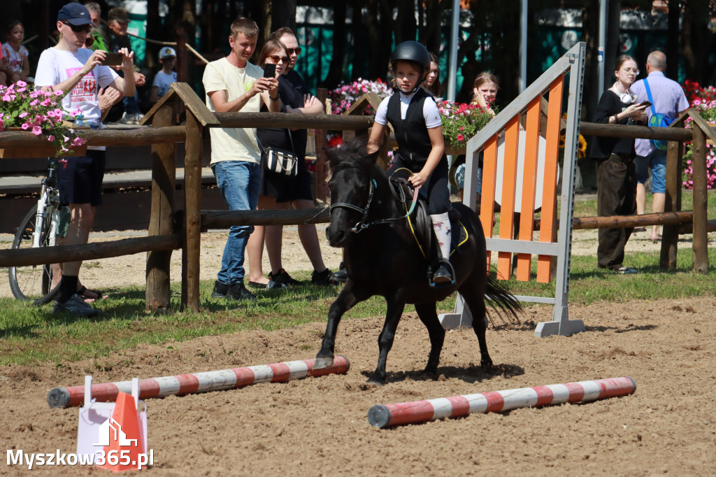 Fotorelacja V: Sprawnościowy Konkurs Jeździecki - Festiwal z Kopyta w Gniazdowie