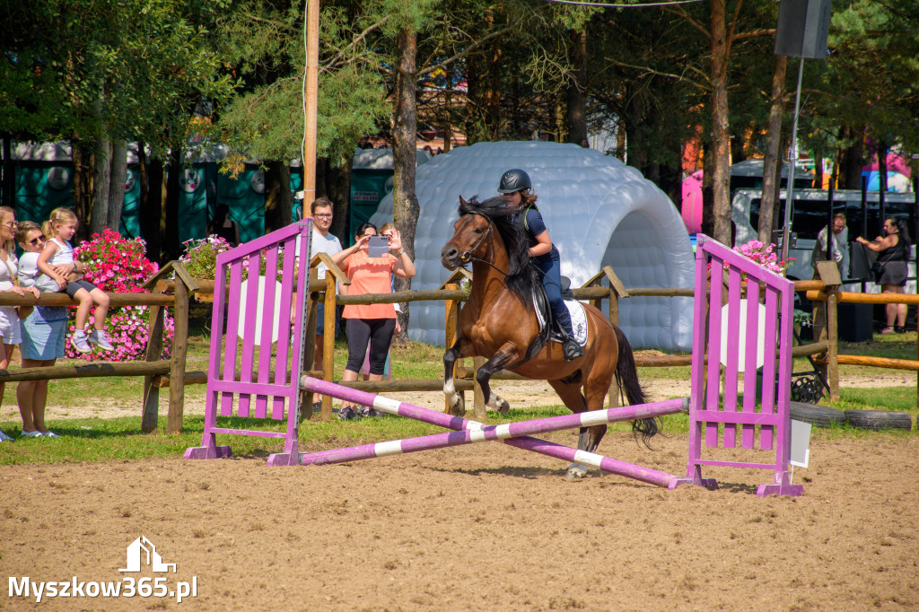 Fotorelacja XV: Festiwal z Kopyta w obiektywie Dawida Budnika