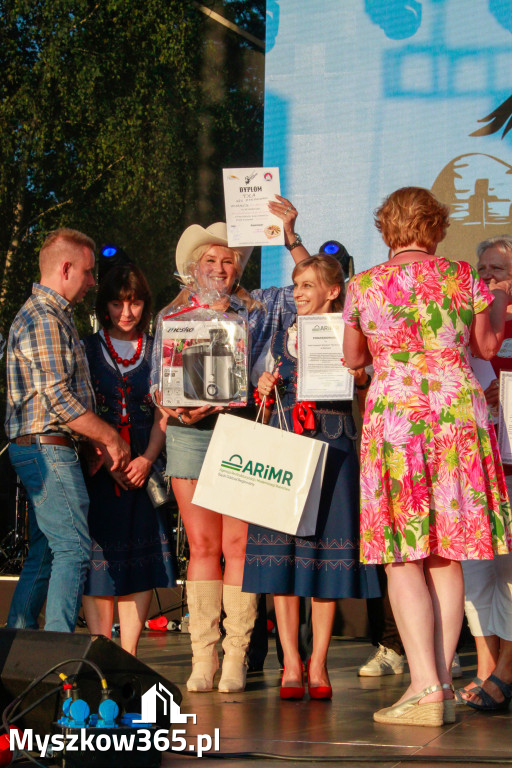 Fotorelacja XV: Festiwal z Kopyta w obiektywie Dawida Budnika