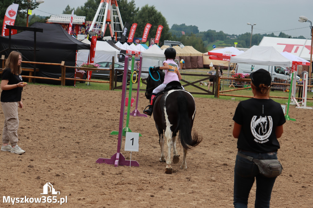 Fotorelacja XX: Sprawnościowy Konkurs Jeździecki - Festiwal z Kopyta w Gniazdowie