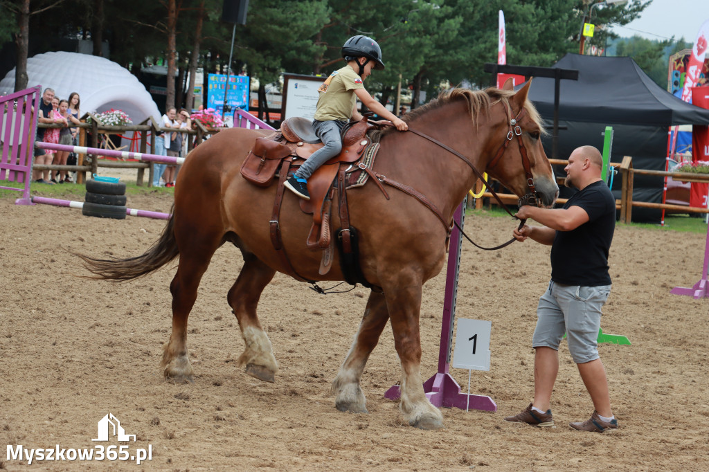Fotorelacja XX: Sprawnościowy Konkurs Jeździecki - Festiwal z Kopyta w Gniazdowie