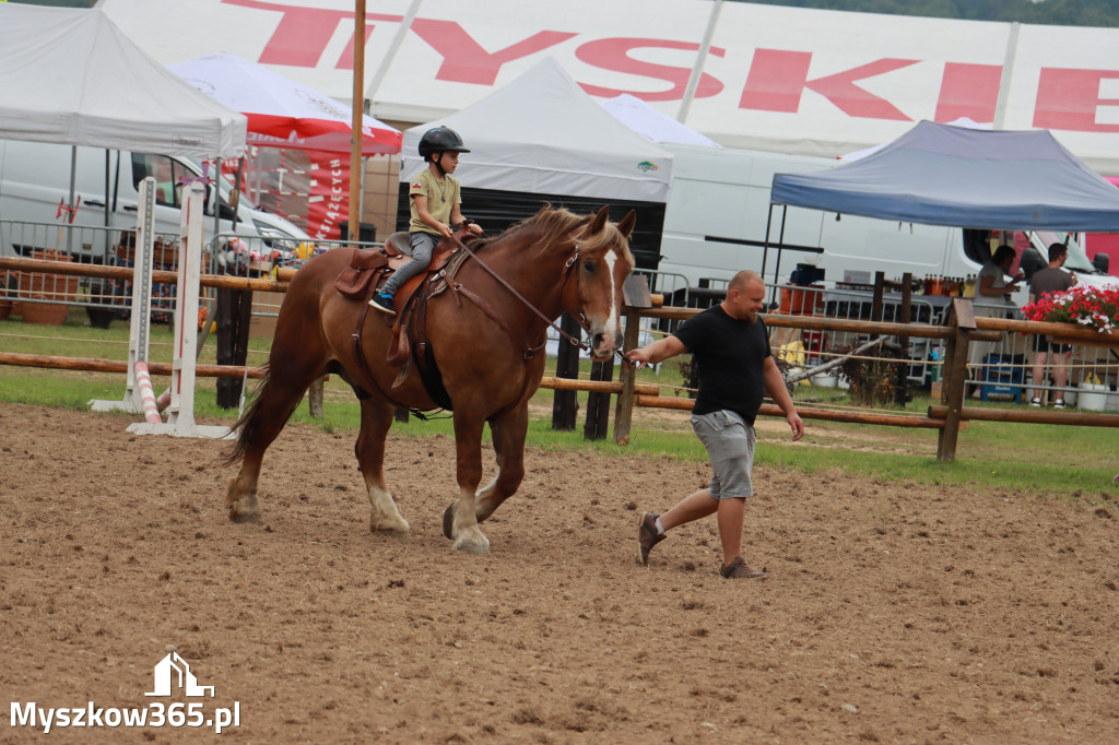 Fotorelacja XX: Sprawnościowy Konkurs Jeździecki - Festiwal z Kopyta w Gniazdowie