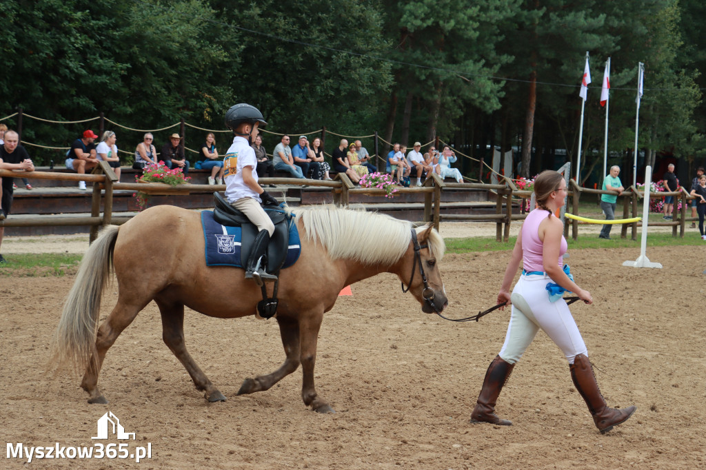 Fotorelacja XX: Sprawnościowy Konkurs Jeździecki - Festiwal z Kopyta w Gniazdowie