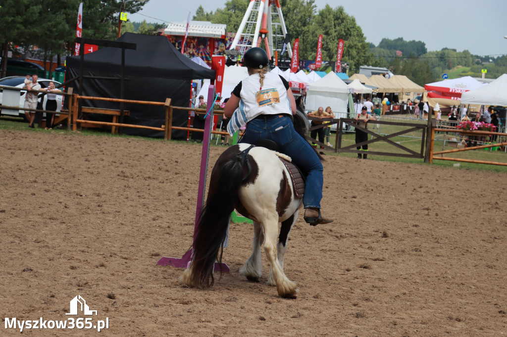 Fotorelacja XX: Sprawnościowy Konkurs Jeździecki - Festiwal z Kopyta w Gniazdowie