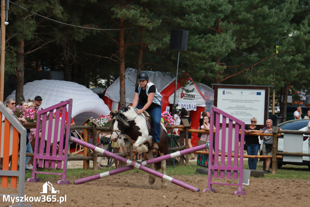 Fotorelacja XX: Sprawnościowy Konkurs Jeździecki - Festiwal z Kopyta w Gniazdowie