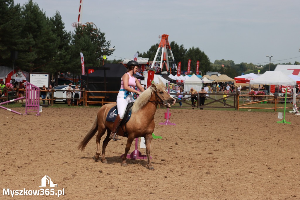 Fotorelacja XX: Sprawnościowy Konkurs Jeździecki - Festiwal z Kopyta w Gniazdowie