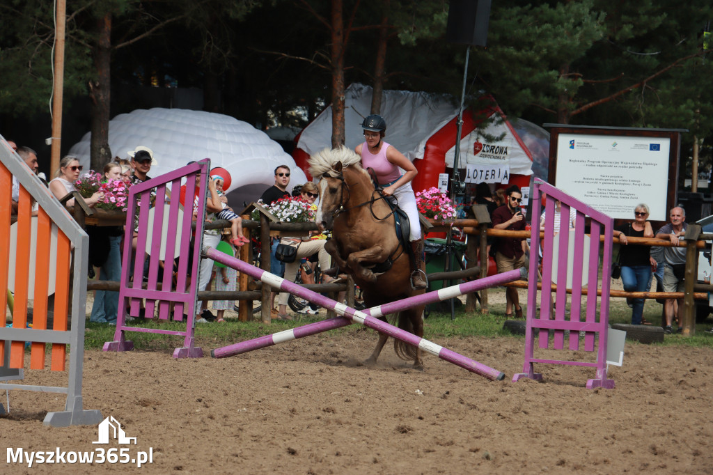 Fotorelacja XX: Sprawnościowy Konkurs Jeździecki - Festiwal z Kopyta w Gniazdowie