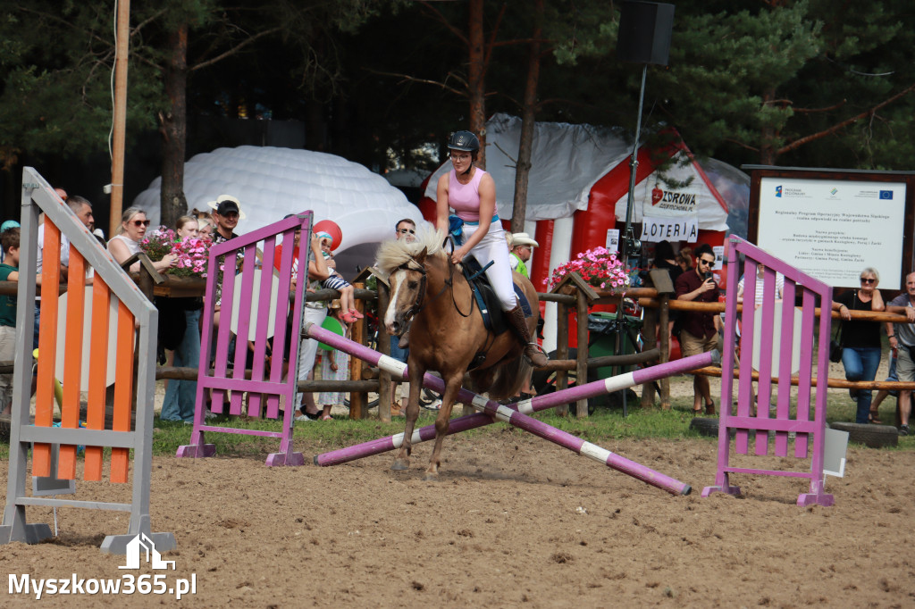 Fotorelacja XX: Sprawnościowy Konkurs Jeździecki - Festiwal z Kopyta w Gniazdowie