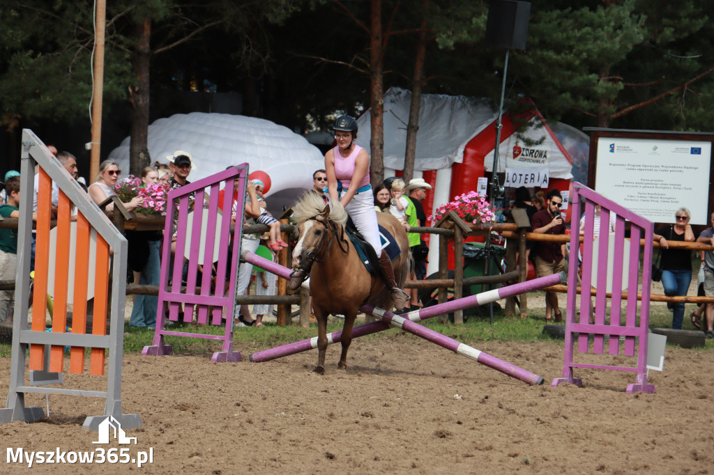 Fotorelacja XX: Sprawnościowy Konkurs Jeździecki - Festiwal z Kopyta w Gniazdowie