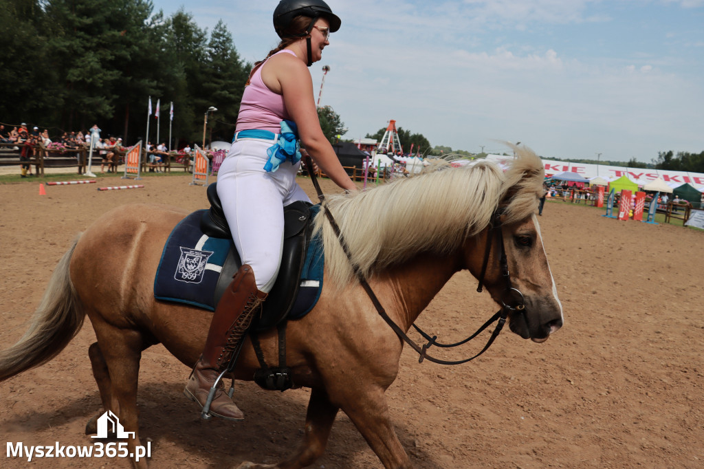 Fotorelacja XX: Sprawnościowy Konkurs Jeździecki - Festiwal z Kopyta w Gniazdowie