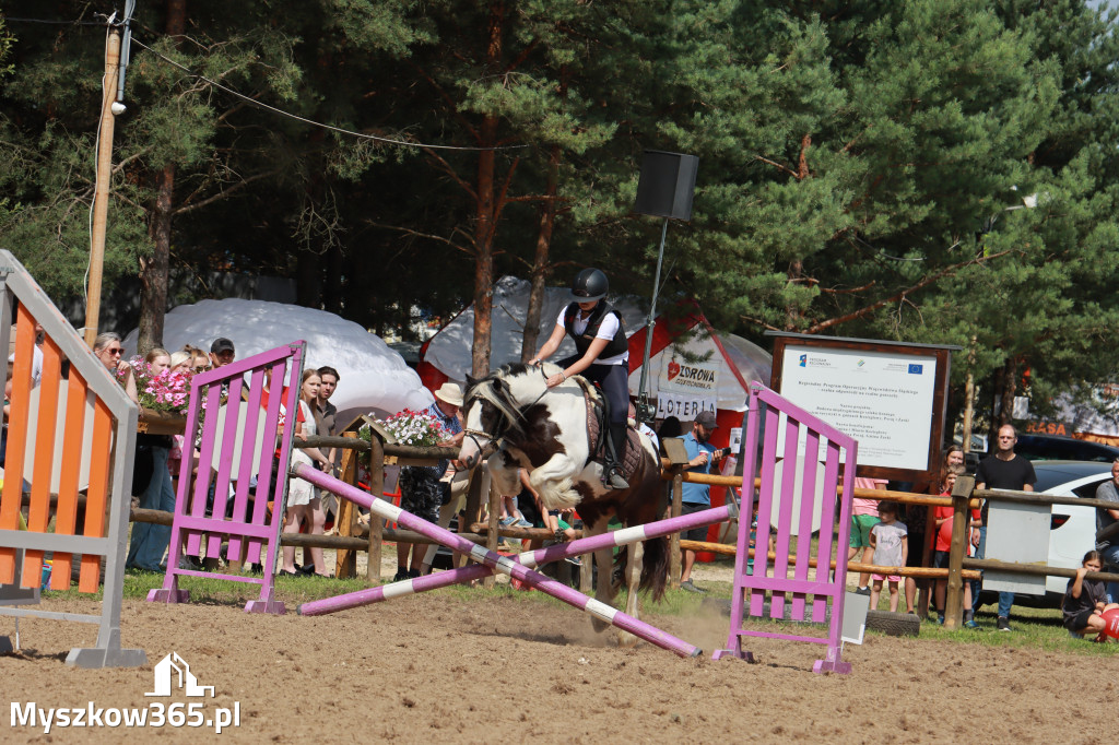 Fotorelacja XX: Sprawnościowy Konkurs Jeździecki - Festiwal z Kopyta w Gniazdowie