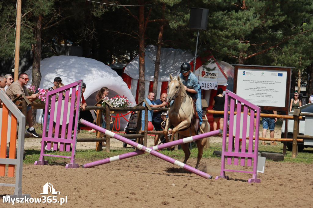 Fotorelacja XX: Sprawnościowy Konkurs Jeździecki - Festiwal z Kopyta w Gniazdowie