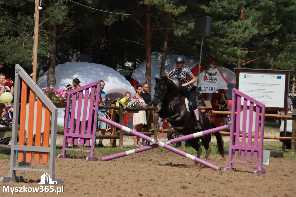 Fotorelacja XX: Sprawnościowy Konkurs Jeździecki - Festiwal z Kopyta w Gniazdowie