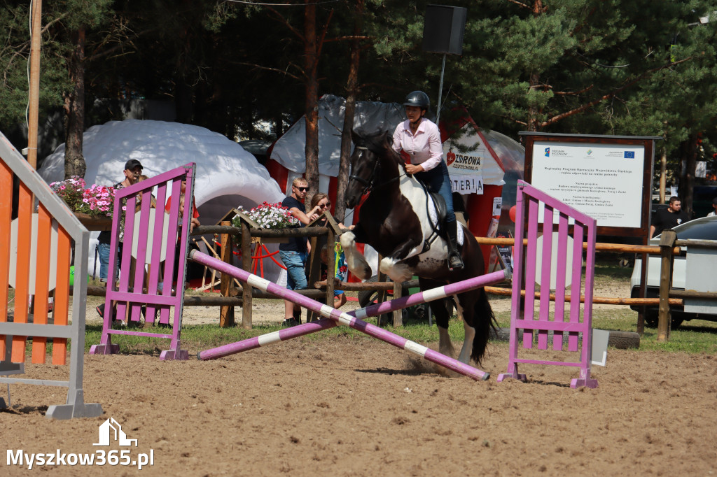 Fotorelacja XX: Sprawnościowy Konkurs Jeździecki - Festiwal z Kopyta w Gniazdowie