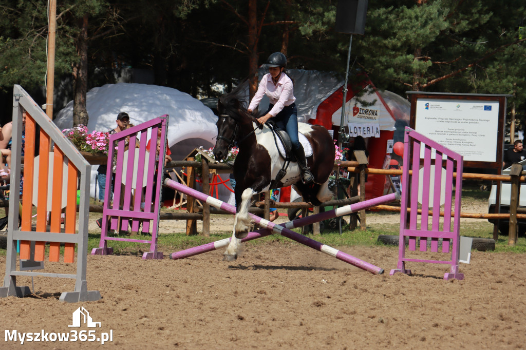 Fotorelacja XX: Sprawnościowy Konkurs Jeździecki - Festiwal z Kopyta w Gniazdowie