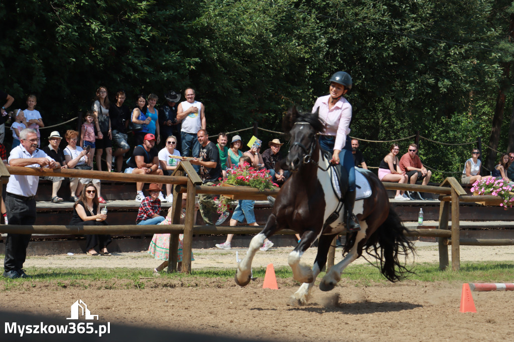 Fotorelacja XX: Sprawnościowy Konkurs Jeździecki - Festiwal z Kopyta w Gniazdowie