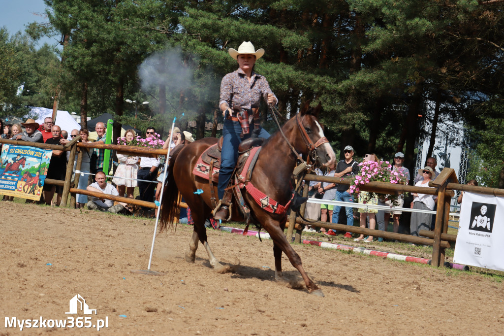 Fotorelacja XXI: Kaskaderski pokaz jeździecki - Festiwal z Kopyta w Gniazdowie
