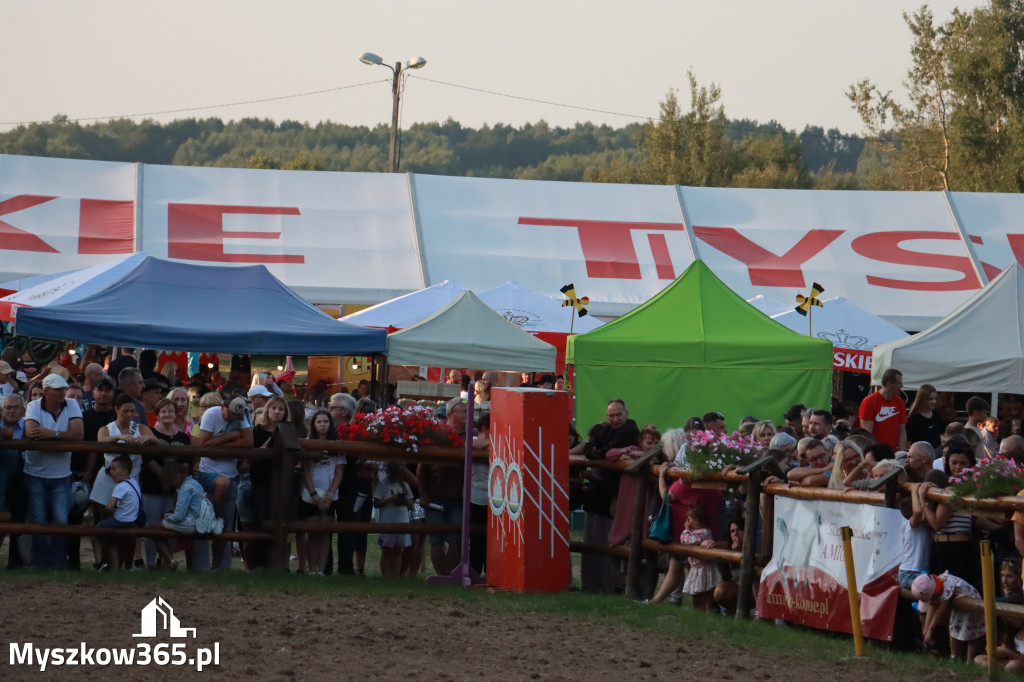 Fotorelacja XXI: Kaskaderski pokaz jeździecki - Festiwal z Kopyta w Gniazdowie