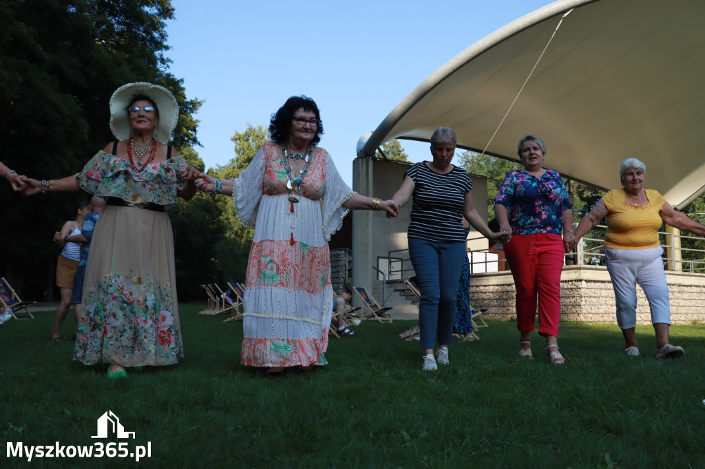 Fotorelacja: Kolejna Pohulanka na Pohulance w Myszkowie