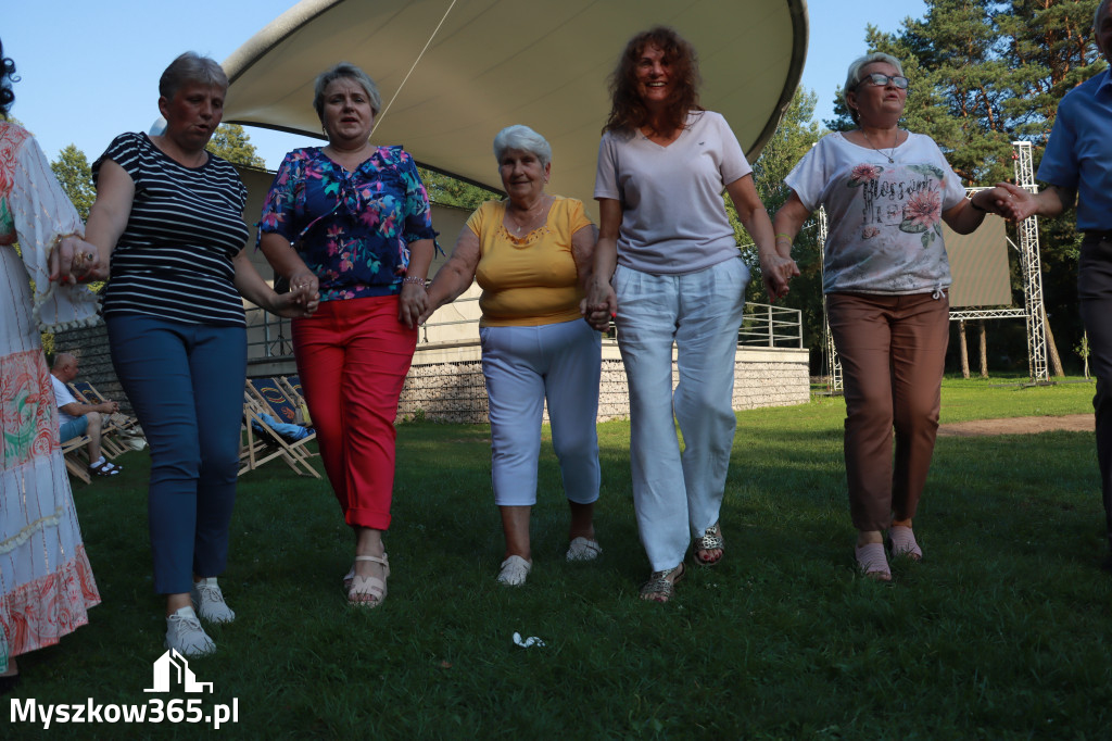 Fotorelacja: Kolejna Pohulanka na Pohulance w Myszkowie