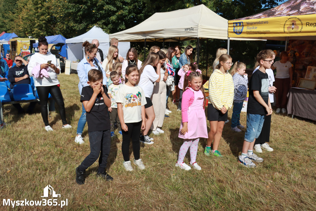Fotorelacja I: XIV Chorońskie Prażuchy i XI Święto Miodu w Choroniu Gmina Poraj