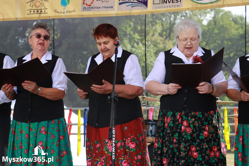 Fotorelacja I: XIV Chorońskie Prażuchy i XI Święto Miodu w Choroniu Gmina Poraj
