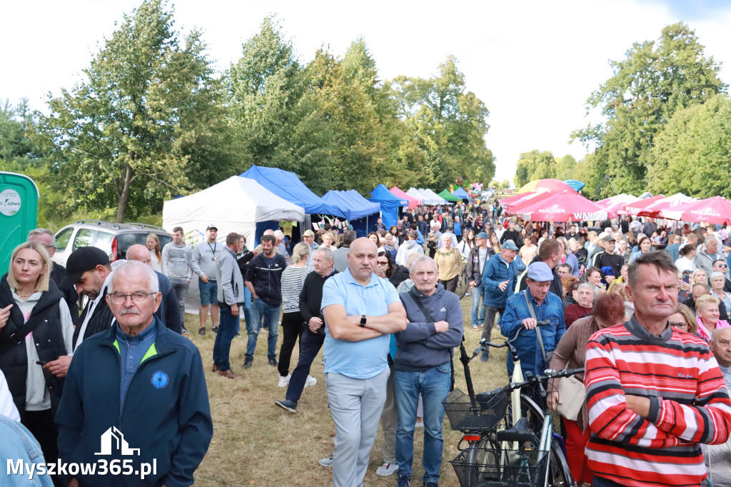 Fotorelacja II: XIV Chorońskie Prażuchy i XI Święto Miodu w Choroniu Gmina Poraj