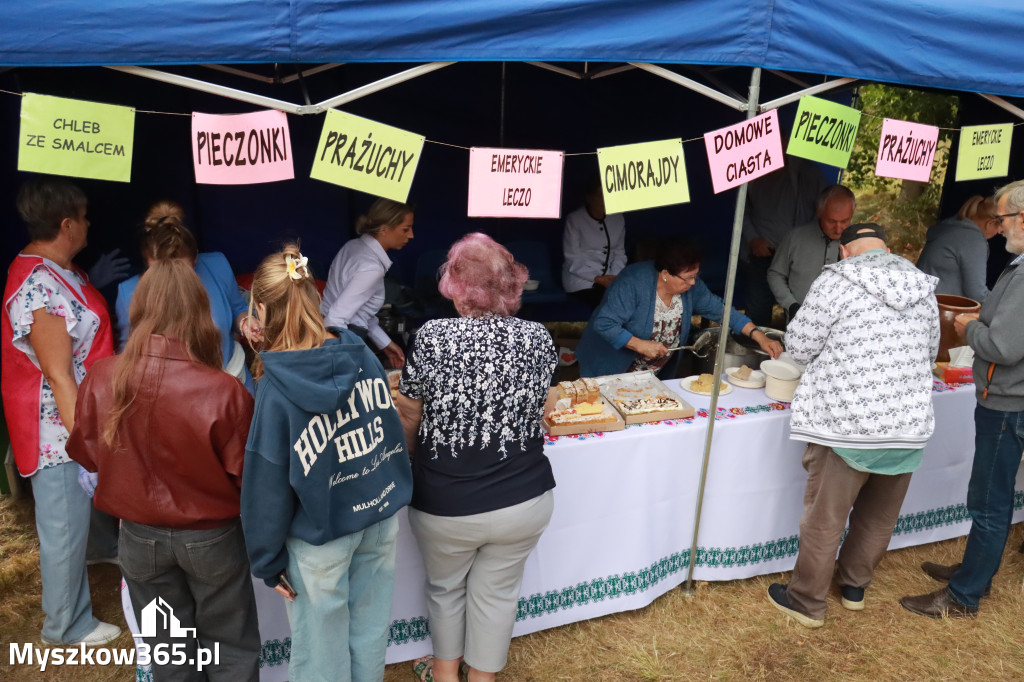 Fotorelacja II: XIV Chorońskie Prażuchy i XI Święto Miodu w Choroniu Gmina Poraj