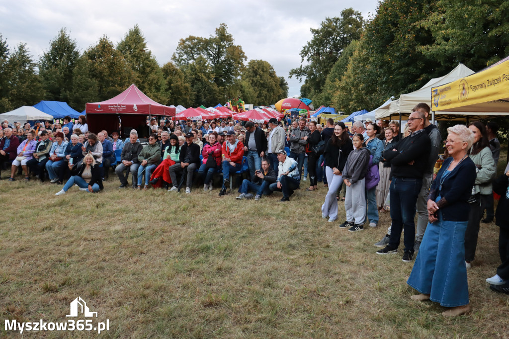 Fotorelacja II: XIV Chorońskie Prażuchy i XI Święto Miodu w Choroniu Gmina Poraj