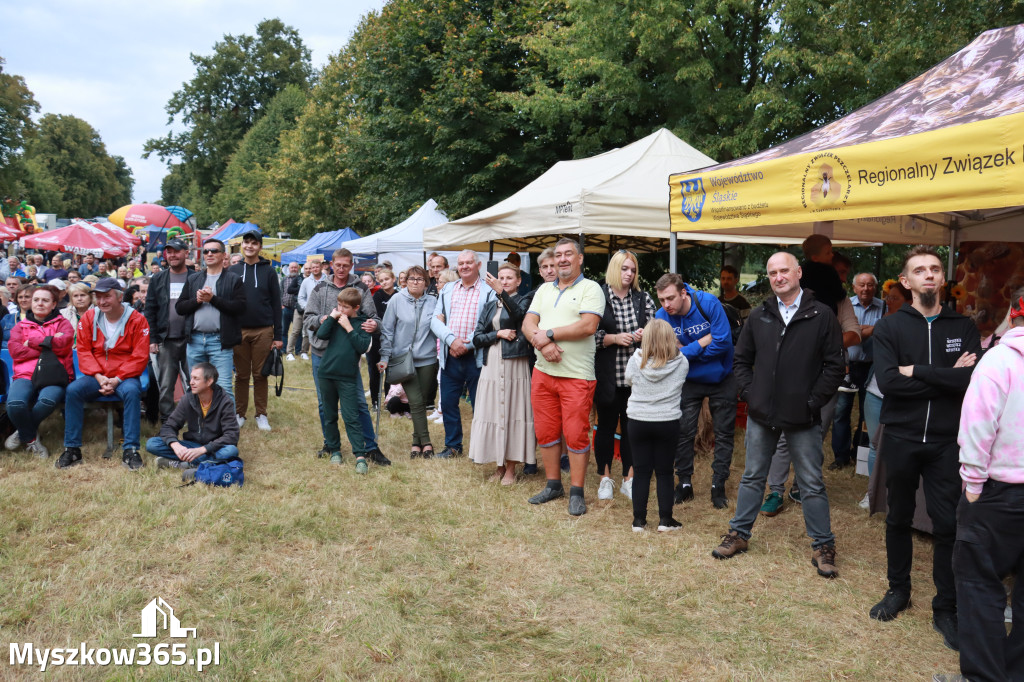 Fotorelacja II: XIV Chorońskie Prażuchy i XI Święto Miodu w Choroniu Gmina Poraj