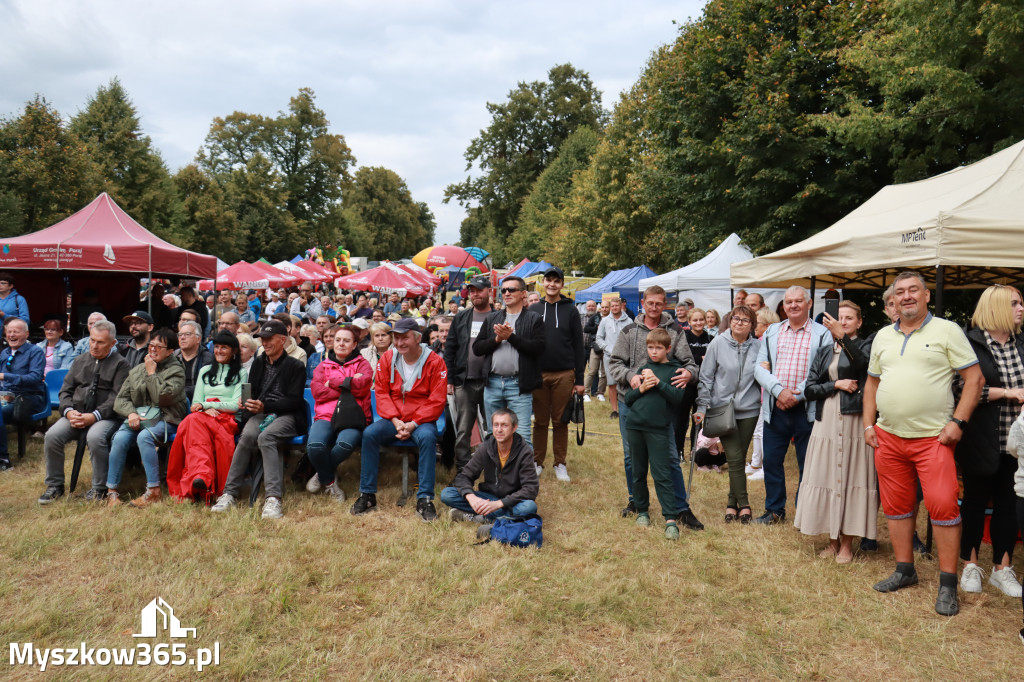 Fotorelacja II: XIV Chorońskie Prażuchy i XI Święto Miodu w Choroniu Gmina Poraj
