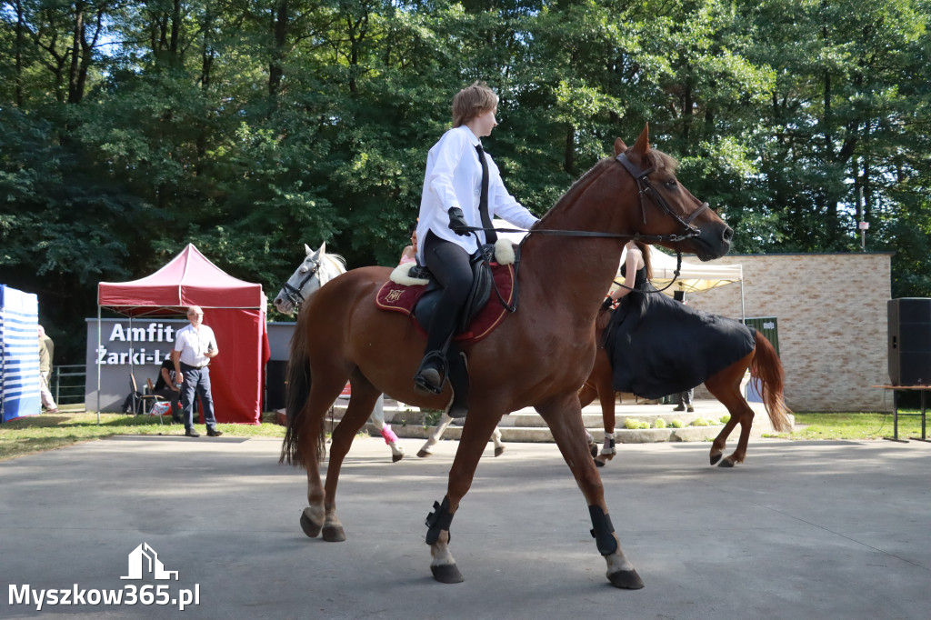 Fotorelacja II: Imieniny Hrabiny w Żarkach Letnisku Gmina Poraj