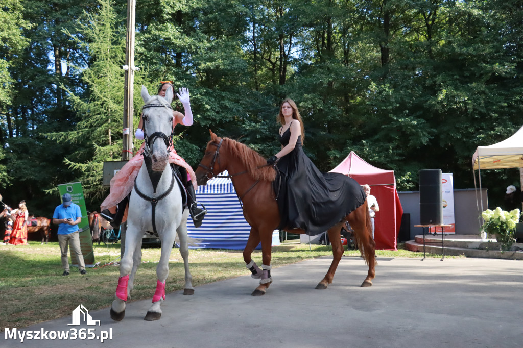 Fotorelacja II: Imieniny Hrabiny w Żarkach Letnisku Gmina Poraj