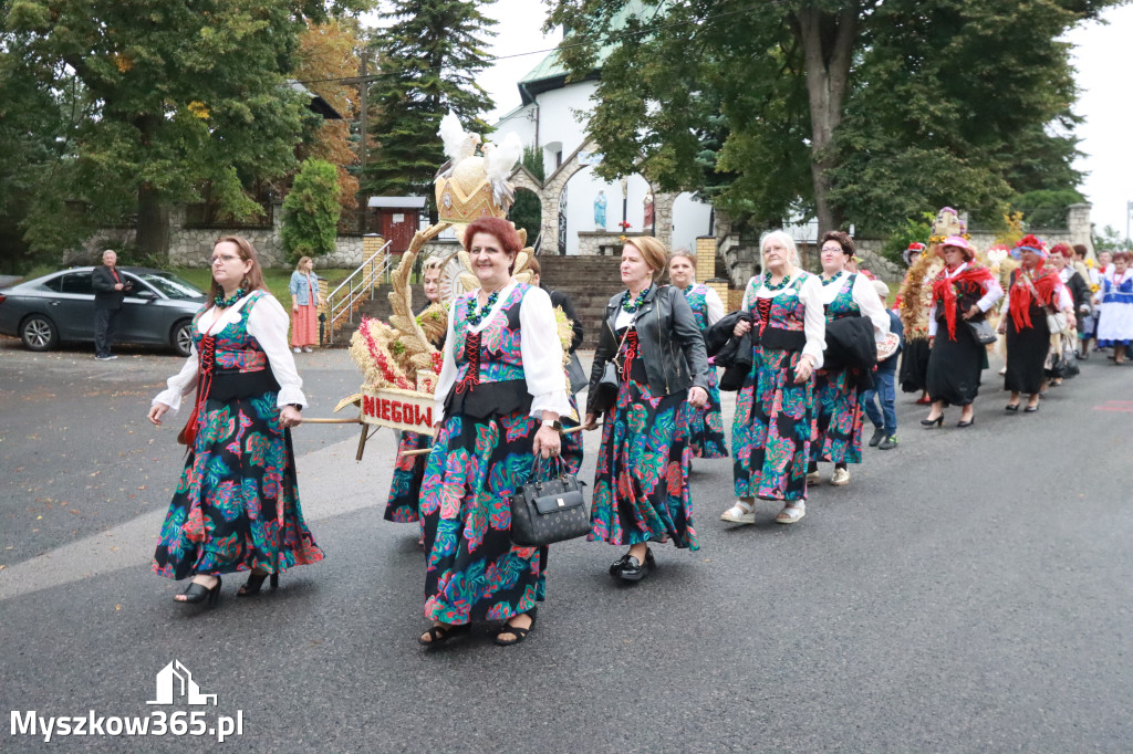 Fotorelacja I: Dożynki Powiatu Myszkowskiego w Niegowie