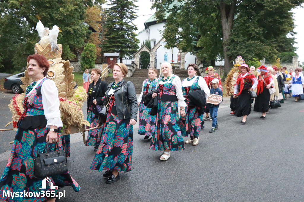 Fotorelacja I: Dożynki Powiatu Myszkowskiego w Niegowie