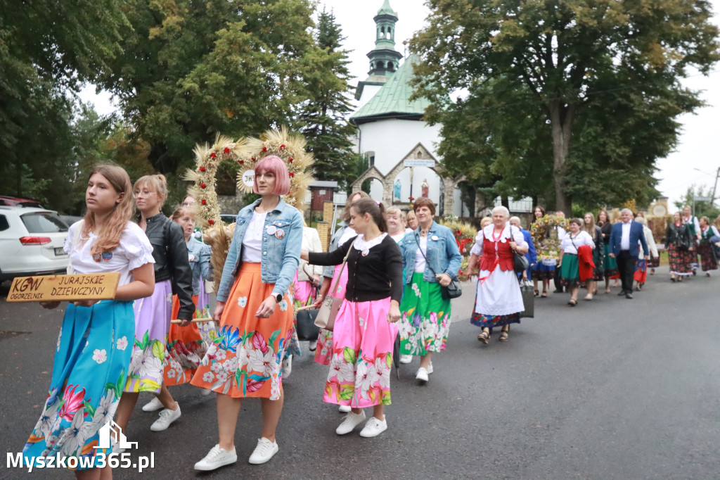 Fotorelacja I: Dożynki Powiatu Myszkowskiego w Niegowie
