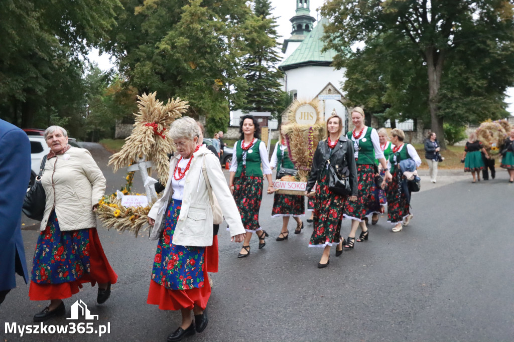 Fotorelacja I: Dożynki Powiatu Myszkowskiego w Niegowie