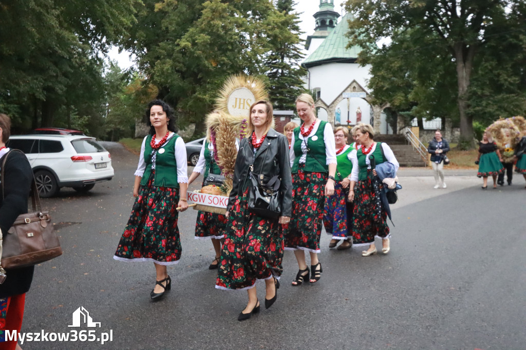 Fotorelacja I: Dożynki Powiatu Myszkowskiego w Niegowie