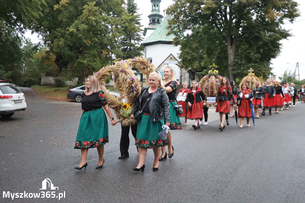 Fotorelacja I: Dożynki Powiatu Myszkowskiego w Niegowie