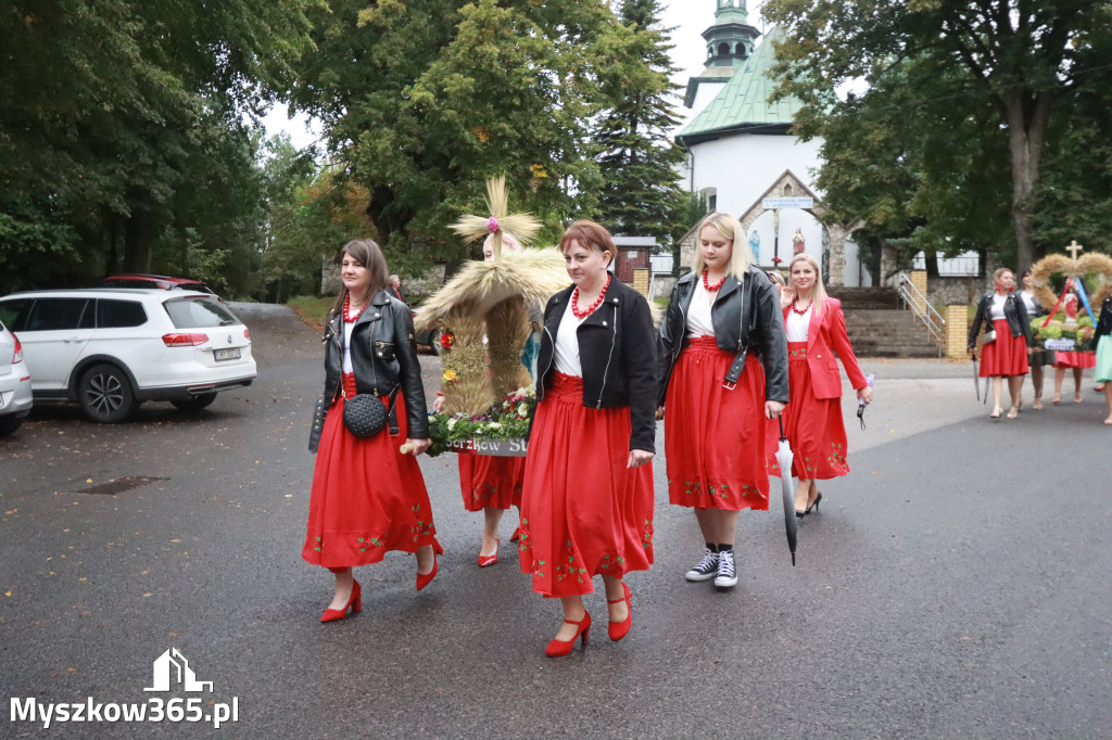 Fotorelacja I: Dożynki Powiatu Myszkowskiego w Niegowie
