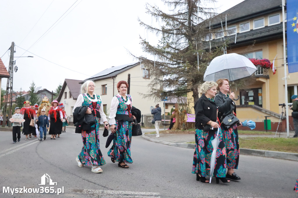 Fotorelacja I: Dożynki Powiatu Myszkowskiego w Niegowie