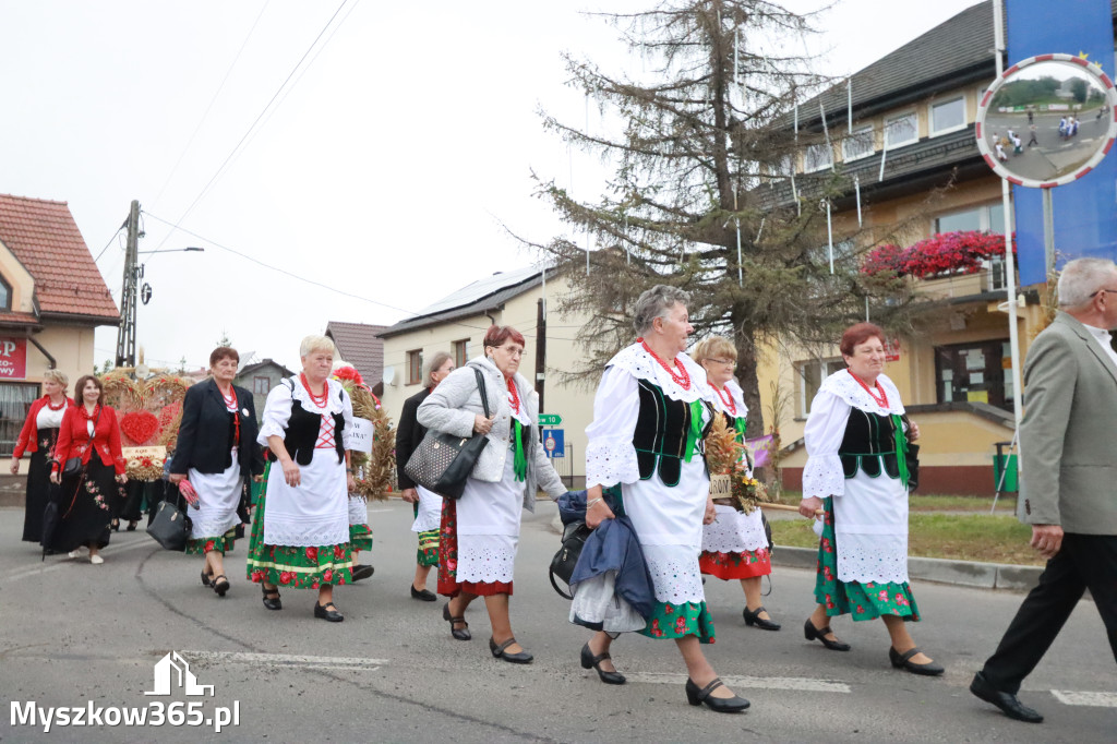 Fotorelacja I: Dożynki Powiatu Myszkowskiego w Niegowie