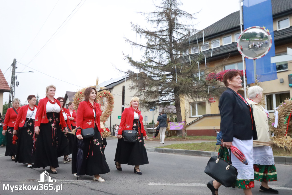 Fotorelacja I: Dożynki Powiatu Myszkowskiego w Niegowie