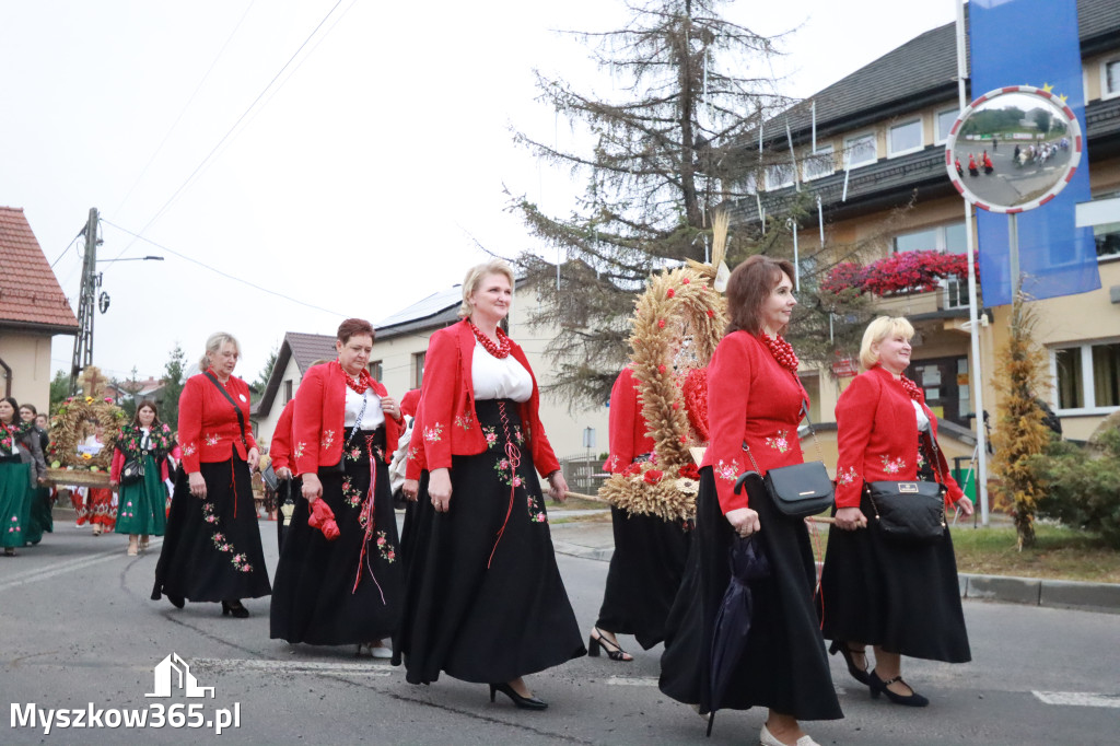 Fotorelacja I: Dożynki Powiatu Myszkowskiego w Niegowie