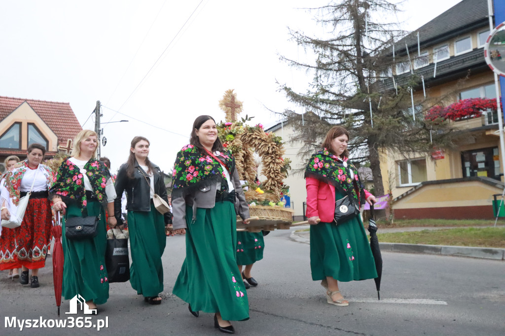 Fotorelacja I: Dożynki Powiatu Myszkowskiego w Niegowie