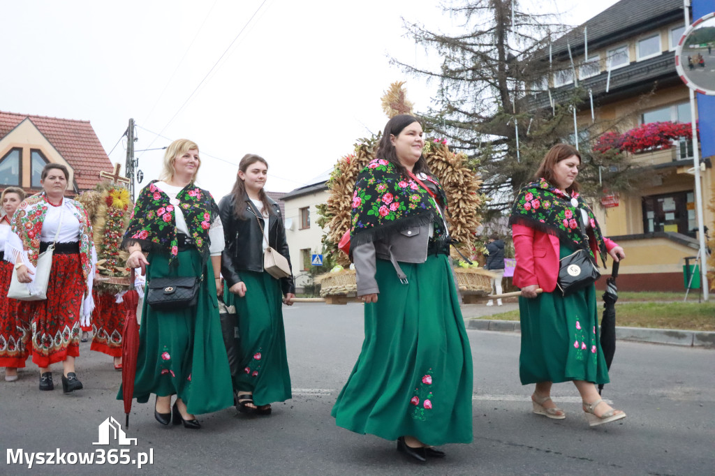 Fotorelacja I: Dożynki Powiatu Myszkowskiego w Niegowie