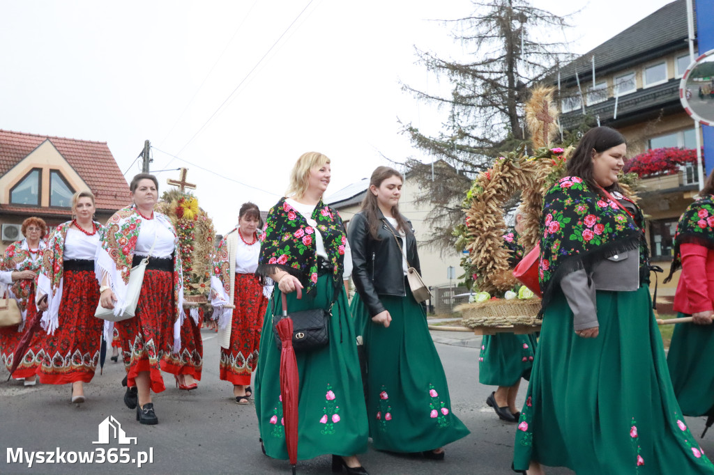 Fotorelacja I: Dożynki Powiatu Myszkowskiego w Niegowie
